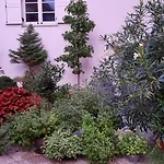 Mitra, Story Ptuj