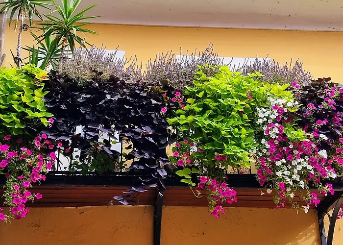 Otel Mitra, Story 3*